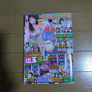 別冊パチスロパニック7X vol.14 DVD付き グラビア・河原みのり ガイドワークス