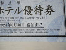 [1～9枚] 共立メンテナンス リゾートホテル 株主優待券 ラビスタ 温泉 箱根 草津 軽井沢 京都 嵐山 ルシアン 函館 米屋 豊洲 東京ベイ 宿泊_画像3