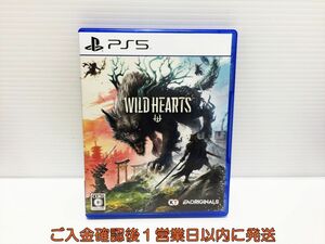 PS5 Wild Hearts ゲームソフト プレステ5 状態良好 1A0122-392ek/G1