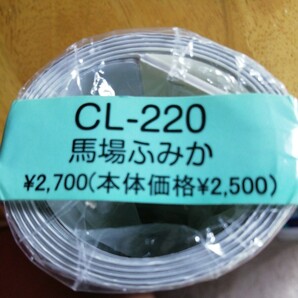【廃盤】馬場ふみか 2017年 カレンダー 壁掛け B2 CL-220