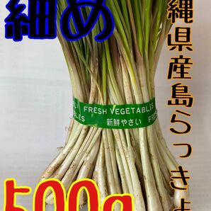 当日収穫　沖縄県産　島らっきょう　細め500g 土・根付