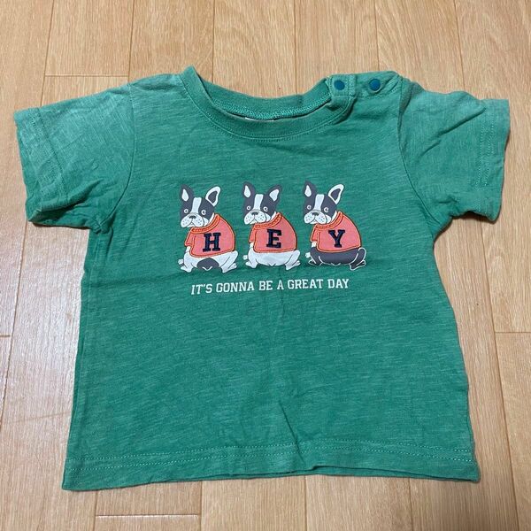 petit main 半袖Tシャツ 犬 80