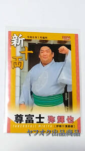 尊富士 2024BBM 大相撲カード #71 新十両 初優勝