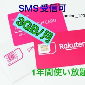 楽天プリペイドsimカード　月3GB高速データ通信専用 SMS受信可 データSIM SMS認証