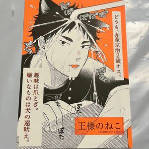 ハイキュー 同人誌 兎赤