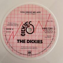 THE DICKIES/punk rock/power pop/パンク天国/オリジナル盤/_画像4