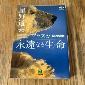 アラスカ 永遠なる生命(いのち) 星野道夫