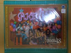 正規品 AKB48 ここにいたこと クリアファイル 新品 A4 3rd.Album 2011 6 8 KOKO NI ITA KOTO pockets plastic file folder CLEAR FOLDER 