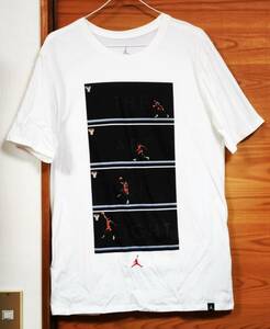 新品 タグなし NIKE Jordan (The Art of Flight) T-shirts Size M / ナイキ ジョーダン TEE 白 Michael Jordan