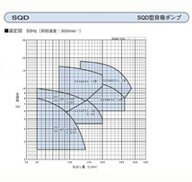 エバラ 自吸ポンプ SQD型 40SQFD5.4SA 単相100V 50Hz 　送料無料 但、一部地域除 代引/同梱不可_画像3