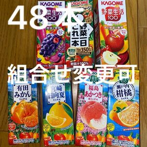 カゴメ　野菜生活100 48本セット　組合せ変更可　桃　柑橘　ベリー　アップル　みかん　日向夏　野菜1日これ1本