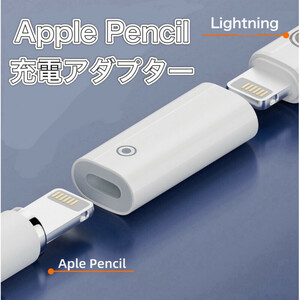 Apple Pencil 第2世代 第1世代 充電 アダプター USB 変換