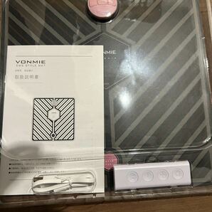 ●VONMIE EMS STYLE MAT スタイルマット 美脚マット エクササイズ 簡単フィットネスの画像2