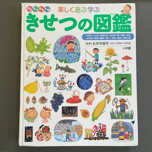 【中古カバーなし】はるなつあきふゆ　楽しく遊ぶ学ぶ きせつの図鑑 小学館