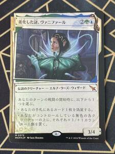 マジック MTG 【Foil】(373)■ショーケース■《進化した謎、ヴァニファール/Vannifar, Evolved Enigma》[MKM-BF] 金M 日本語版 NM