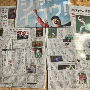 中国新聞　カープ　2023 秋季キャンプ　日南キャンプ　計22部　全面広告