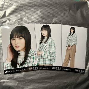 乃木坂46 遠藤さくら 生写真 ショートコート(2024.March-Ⅱ) コンプ