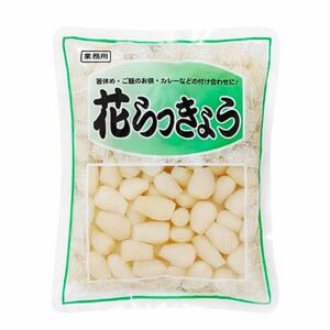 花らっきょう 500g 1袋 漬物 らっきょう甘酢漬け 漬物 お茶漬け カレーライス 箸休め つけ置き 健康維持 ご飯のお供