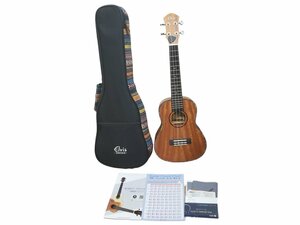 ◎Elvis エルビス ソプラノ ウクレレ UKULELE 1991 ソフトケース付き ４弦 ハワイアン 木目 21インチ 教則本 ポリッシングクロス