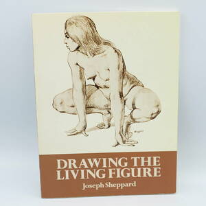 洋書 Drawing the Living Figure 人体ヌード男女スケッチ・デッサン