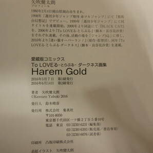 017) To Loveる とらぶる ダークネス画集 Harem Gold / Venus セットの画像4