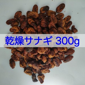[ free shipping ] dry sanagi300g colored carp meat meal fish reptiles chicken frog. bait .( dry .../ silk wa-m/.)