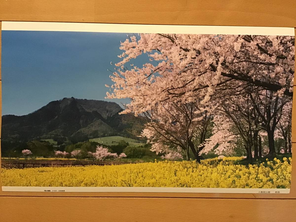 風景 新潟 上堰潟公園 ★カレンダー切り抜き写真ポスター ★サイズ22×38㎝ ★非売品, 印刷物, 切り抜き, その他