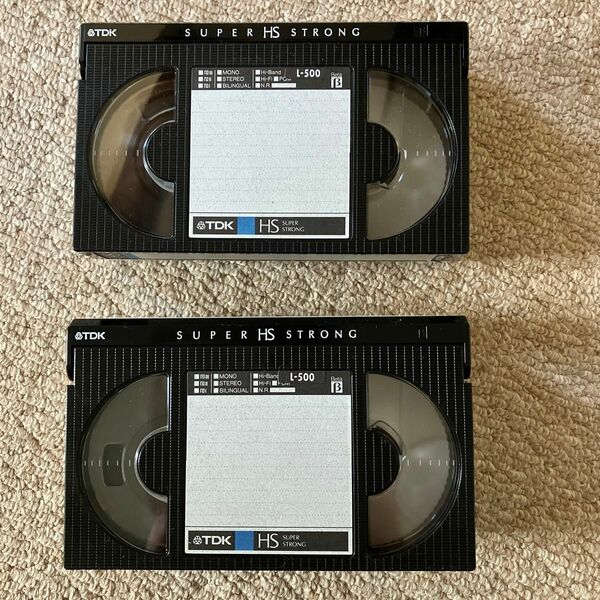 VHS ビデオテープ　Lー500 2本セット