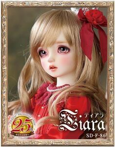 新品フルセット ボークス Volks ボークス スーパードルフィー Dear SD DSD ティアラ Tiara 無記名認定証付き 天使の窓 天使の里 25周年