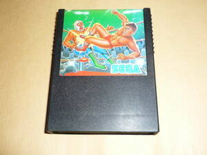 SEGA game cartridge CHAMPION PRO WRESTLING G-1039