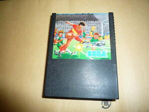 SEGA game cartridge CHAMPION SOCCER G-1034