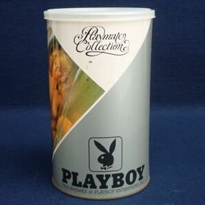 ▼PLAYBOY Playmate Collection 400ピース 缶入り ジグソーパズル No.402 Karen Witter▼プレイボーイ/カレン・ウィッターの画像2