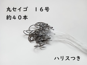 丸セイゴ 針 フック 16号 約40本セット ハリス 45cm付き 万能 オールマイティー スタンダード シングルフック アイナメ 初心者 ビギナー