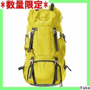 ☆人気商品 ラドウェザー 登山 リュック 大容量 60L テフロン サック メンズ レディース 2気室構造 レインカバー付き 36