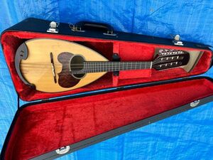 F1 SUZUKI Suzuki mandolin beautiful goods case attaching 