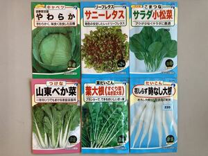 【ジャンク品】 2023年春蒔き野菜古種24袋セット未開封！