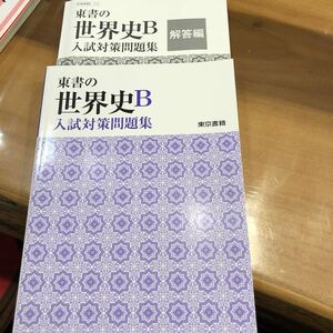 東書の世界史B 入試対策問題集　　東京書籍