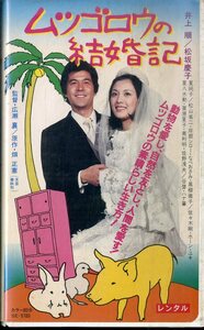 H00021109/【邦画】VHSビデオ/井上順/松坂慶子「ムツゴロウの結婚記」