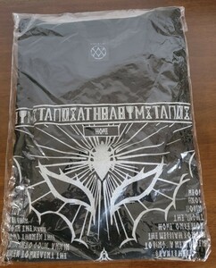 新品 BABYMETAL BAPTISM XX BIG TEE