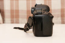 【実用品】Canon EOS 5DMark II + EF24-105mm L IS USMレンズ + CFカード16GB_画像3