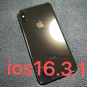 Apple iPhone XS Max 256GB SIMフリー