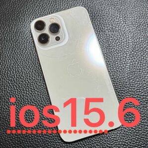 Apple iPhone 13Pro Max 128GB SIMフリー
