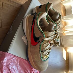 Lebron XX 20 sesame グローバルラスト NIKE