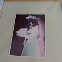 大場久美子　想い出のアルバム　ファンクラブ特別記念制作_画像8