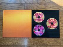 THE BIRTHDAY BEST ALBUM 『GOLD TRASH』 完全生産限定豪華盤 CD＋Blu-ray ブルーレイ 廃盤 バースデイ チバユウスケ MICHELLE ミッシェル _画像4