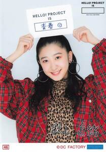 つばきファクトリー【秋山眞緒】 コレクション生写真 No.46　Hello! Project 2020 Winter HELLO! PROJECT IS [　　　　　] 