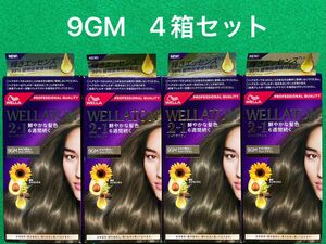 9GM 4箱セット ウエラトーン ツープラスワン クリームヘアカラー