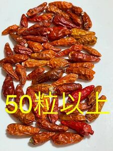 沖縄産無農薬栽培　島とうがらし（ドライ）50粒以上②