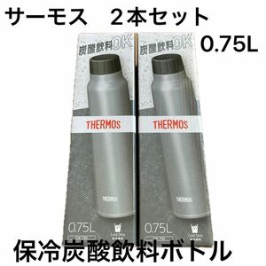 保冷炭酸飲料ボトル 0.75L（シルバー）FJK-750 SL 2本セット