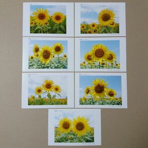 ポストカード７枚セット 笑顔「ひまわり」 向日葵 風景写真 花写真 送料無料